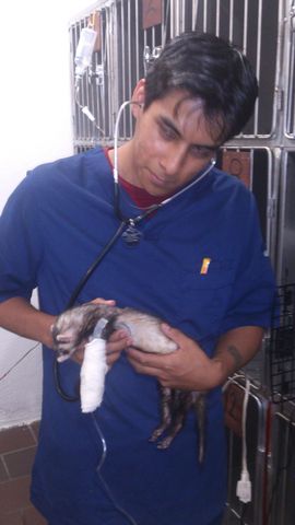 Sin Nombre